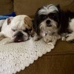 Leo & Oakley - @leo_n_oakley - Instagram