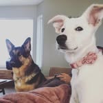 Leo & Oakley Leblanc - @the_adventures_of_leoandoakley - Instagram