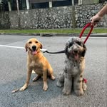 leo and oakley! - @leoakleyadventures - Instagram