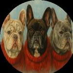Leo, Oakley, & Kona - @frenchielokdown - Instagram