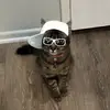 Leo - @leoolvera29 - TikTok