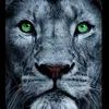 Leo Pace - @leopace1 - TikTok