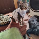Leo Payne - @leopayne1549 - Instagram