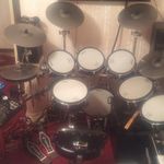 Leo Payne - @leo.payne1 - Instagram
