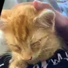 Leo_Ray_Pearson - @leo_renee_pearson - TikTok