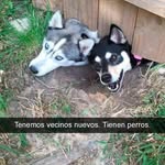 leo perales - @leo_perales123 - Instagram