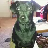 leoperdue1 - @leoperdue1 - TikTok