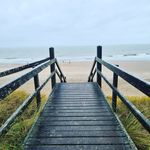 Leo Pfeiffer - @loeni_loewenherz - Instagram