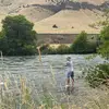 Leo - @leo.phillips1 - TikTok