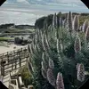 leo Phillips04272 - @leo.phillips04272 - TikTok