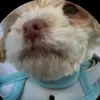 user70273995309327 - @leo.phillips04295 - TikTok
