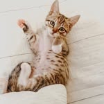Leo - @leo_pierce_ - Instagram