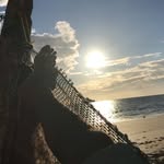 Leo Tristán Pierce - @leotristan - Instagram