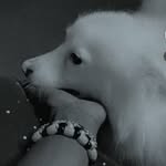 Leo De piper - @lilisko_boi - Instagram