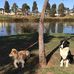 Leo Piper - Facebook