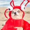 Leo_plato - @leo_plato0 - TikTok