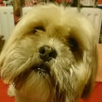 LEOPLUMMERIDGE - @leoplummeridge - Instagram