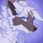 leo - @leopoerr - Instagram