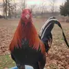 Leo Quintero - @leoquintero96 - TikTok