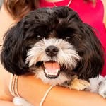 Leo Rader - @leo.underbite - Instagram