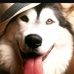 Leo Rainey - Facebook