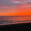 Leo_reilly♤♤ - @leo_reilly57 - TikTok