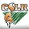 Cslr Quotes - @leo_remillard_quotes - TikTok
