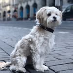 Léo Rivard - @leorivard - Instagram