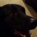 Leo Roberson - Facebook
