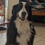 Carmen (personnel) Leonard Robillard - @carmenleonardrobillard - Instagram
