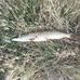 Leo Robillard - Facebook