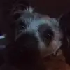 leonrobitaille - @ggxgames - TikTok