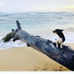Leo Romeo - @leo_romeo_808 - Instagram