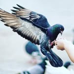 Leo Rowan - @leorowan51 - Instagram