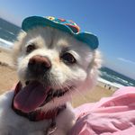 leonardo rubino - @leo.rubino - Instagram