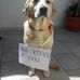 Leo Russo - Facebook