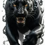 Leo Saenz - Facebook