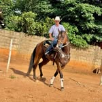 Leonam Salvatore - @leo_salvatore2010 - Instagram