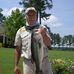 Leo Sauer - Facebook