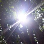 LeoSauer - @leosauer022 - Instagram