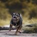 Leonie Schauer - Facebook