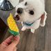 Leo Scherer - Facebook
