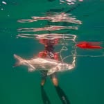 Leonardo Villavicencio - @leo.sealife - Instagram