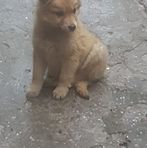 Leo Serrano - Facebook