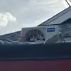 LeoSerrano24 - @leoserrano24 - TikTok