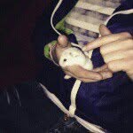 leo sharp - @leosharp_ - Instagram