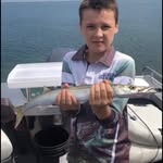 Leo Sheehy - @leo_sheehy21 - Instagram