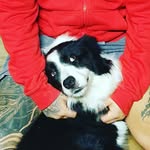 Leo BC Sheppard - @leo_sheppard_bc - Instagram