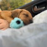 Leo Sheppard - @leo_sxo - Instagram