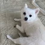 은석 - @leosilver_4 - Instagram
